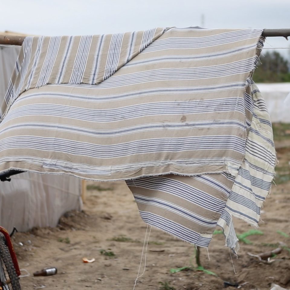 Le biciclette di Rosarno_videant